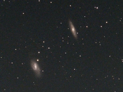 Galaxies in Leo