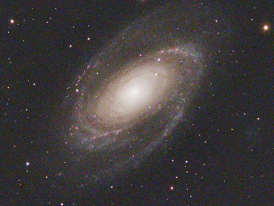 M81