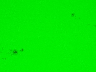 Sunspot Groups