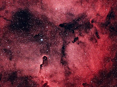 The Elephant's Trunk Nebula