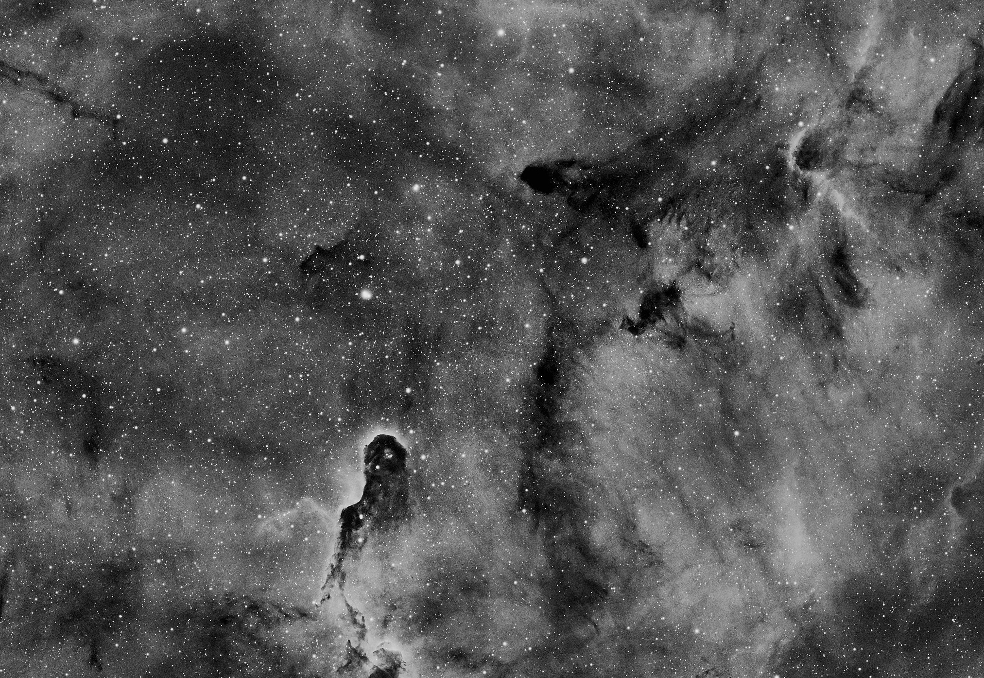 The Elephant's Trunk Nebula
