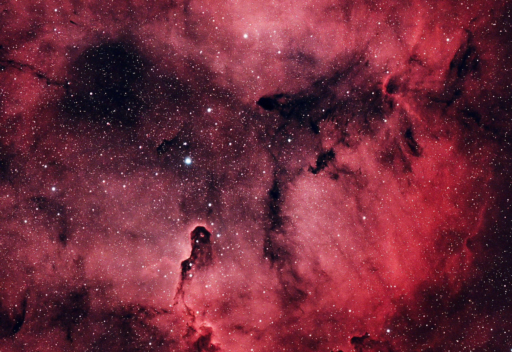 The Elephant's Trunk Nebula